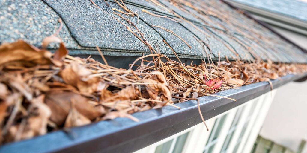 clogged gutters